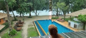 Ein brauner Zwergpudel schaut vom Balkon auf einen Pool.