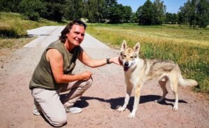 Der Reisedesigner mit einem Wolfshund