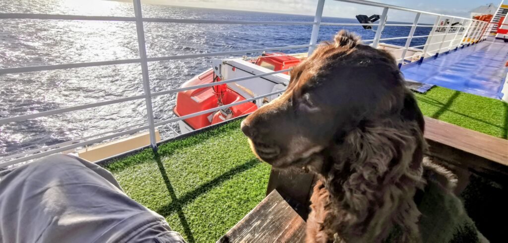 Frida auf der Fähre nach Teneriffa