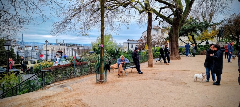Hundepark mit besten Aussicht Hundepark mit besten Aussicht