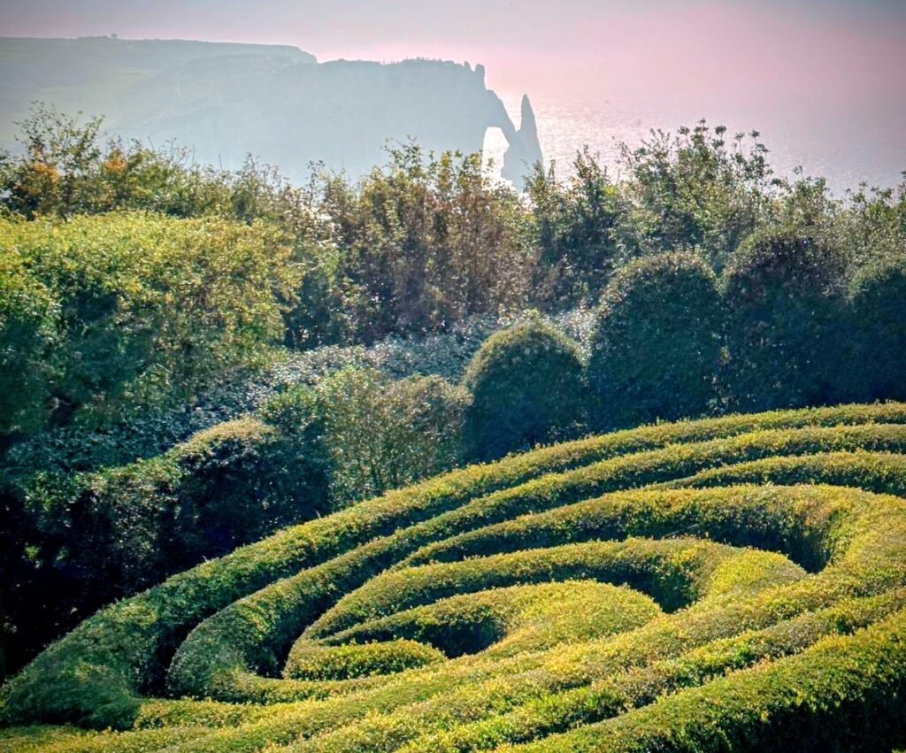 Frankreich: Normandie Küste mit Hecke