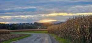 Sonnenaufgangsstimmung bei bewölktem Himmel