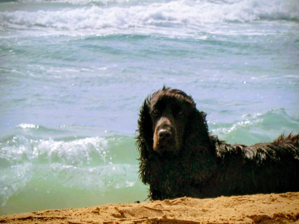 Sally am griechischen Strand