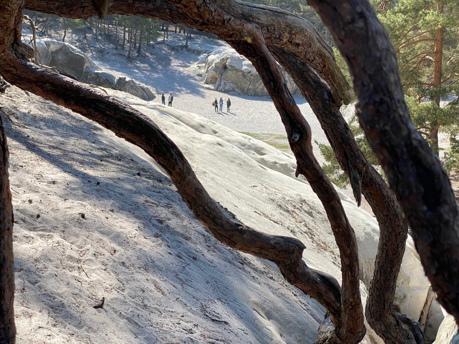Sandsteinhöhlen im Harz