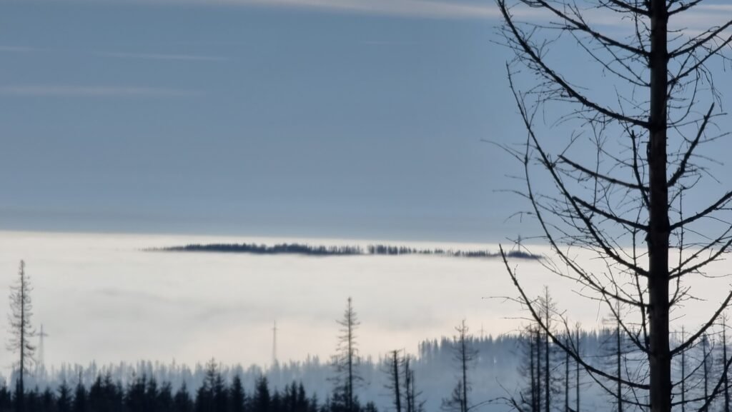 Torfhaus, Harz, Deutschland