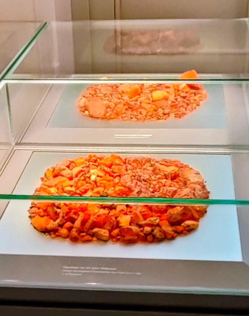 Blick auf eine Vitrine im Bernstein Museum in Ribnitz-Damgarten