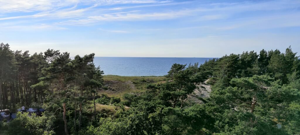 Dünenlandschaft bei Dierhagen Fischland-Darß-Zingst: Dünenlandschaft bei Dierhagen