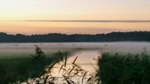 Deutschlandreise: Herbststimmung in Dierhagen
