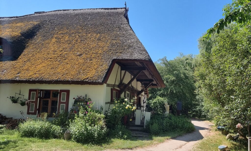 Reetdach Romantik in Ahrenshoop Fischland-Darß-Zingst: Reetdach Romantik in Ahrenshoop