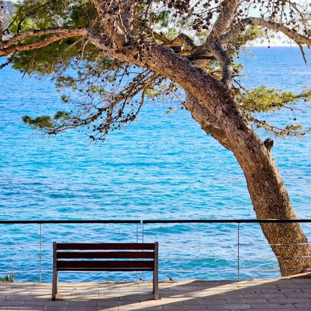 Reisekonzept Platin: Bank am Meer Bank am Meer