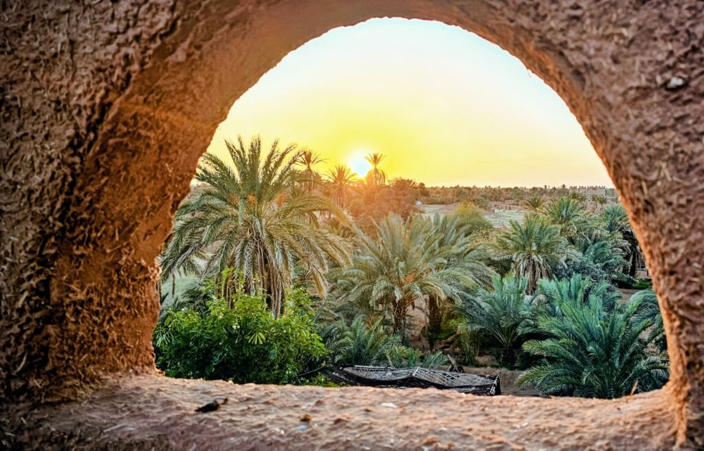 Reisekonzept Platin: Blick auf Palmenhain Blick durch Bogen auf Palmenhain
