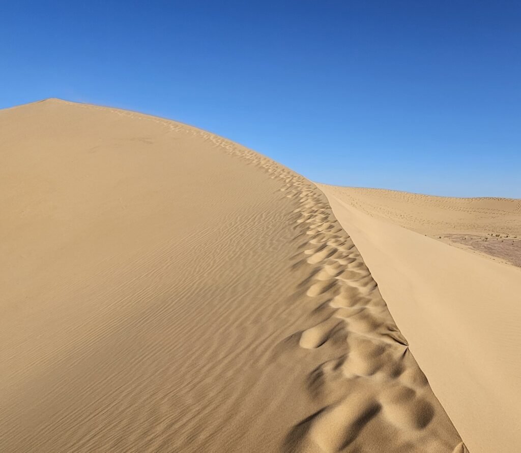 Reisekonzept Platin: Fusspuren auf einer Sanddüne usspuren auf einer Sanddüne