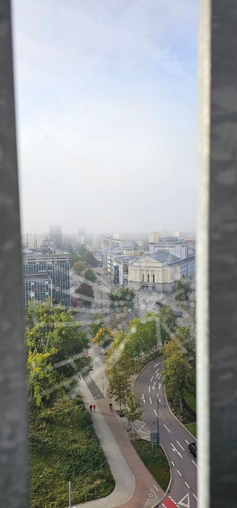Blick durch Spinnennetz auf Opernhaus Blick durch Spinnennetz auf Opernhaus