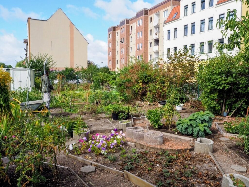 Interkultureller Garten