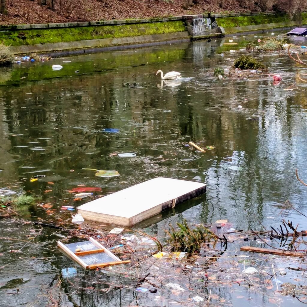 Kalkutta an der Spree Kalkutta an der Spree