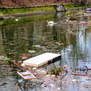 Müll schwimmt auf dem Landwehrkanal.
