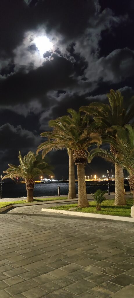 Rembetiko: Palmen bei Nacht mit Vollmond Rembetiko: Palmen bei Nacht mit Vollmond