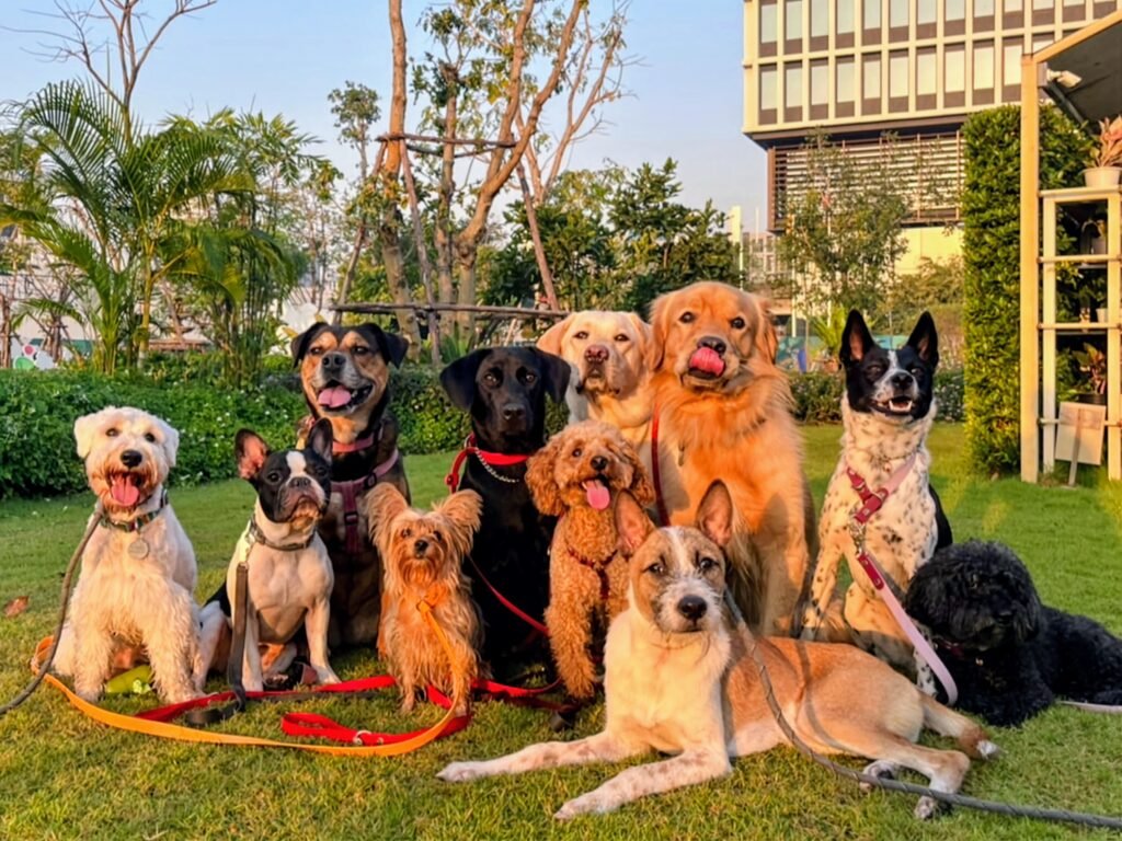Yumi und ihre Kita Freund von BKKdogsterf