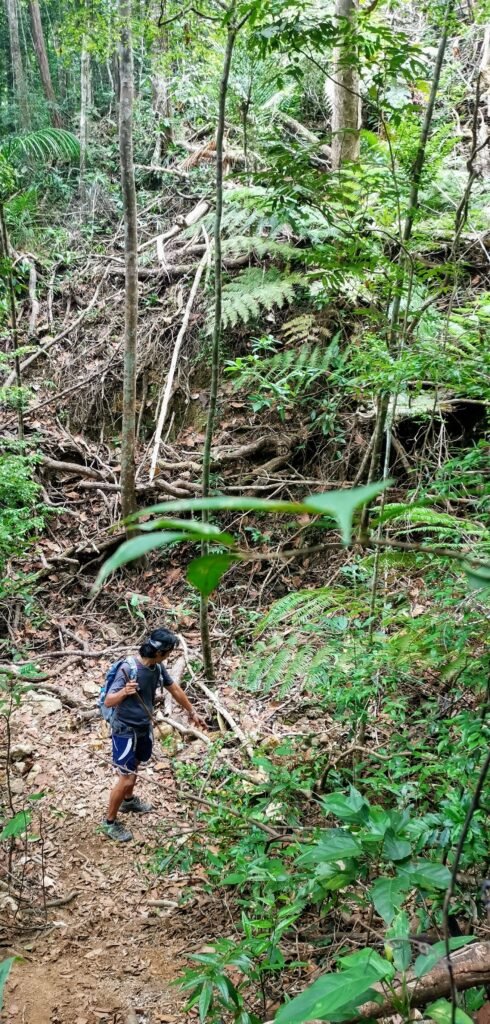 Unser Bergführer Nok zum Khao Salak Phet 