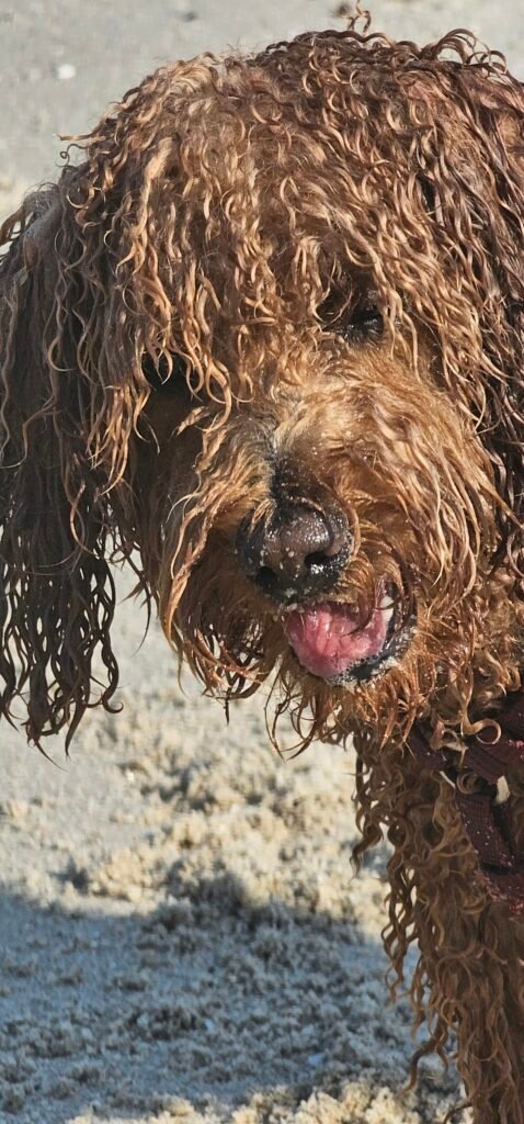Yumi gräbt Löcher im Sand