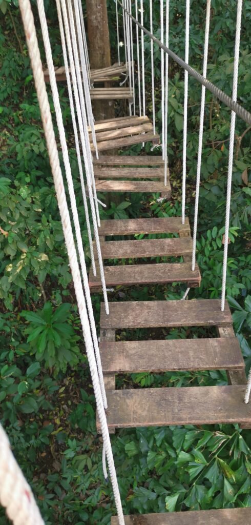 Hängebrücke im Tree Top Park, Koh Chang