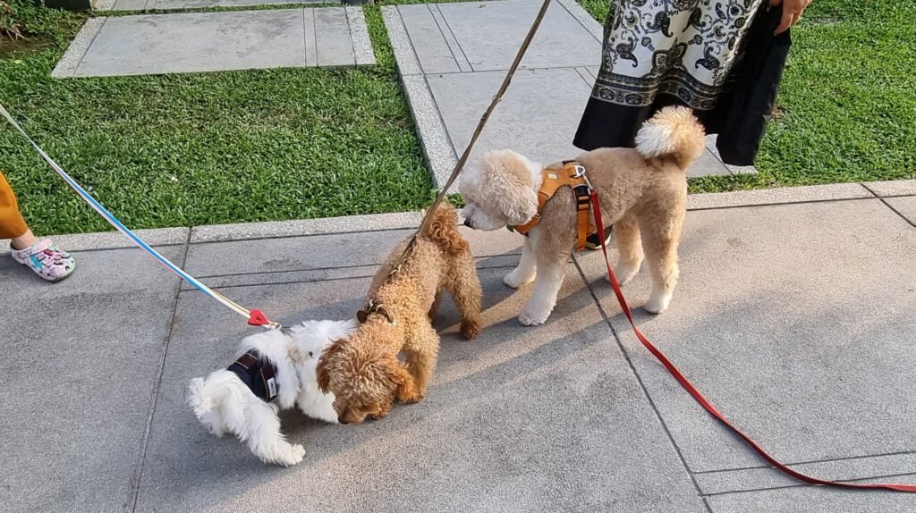Treffen beim Auslauf im Hotel