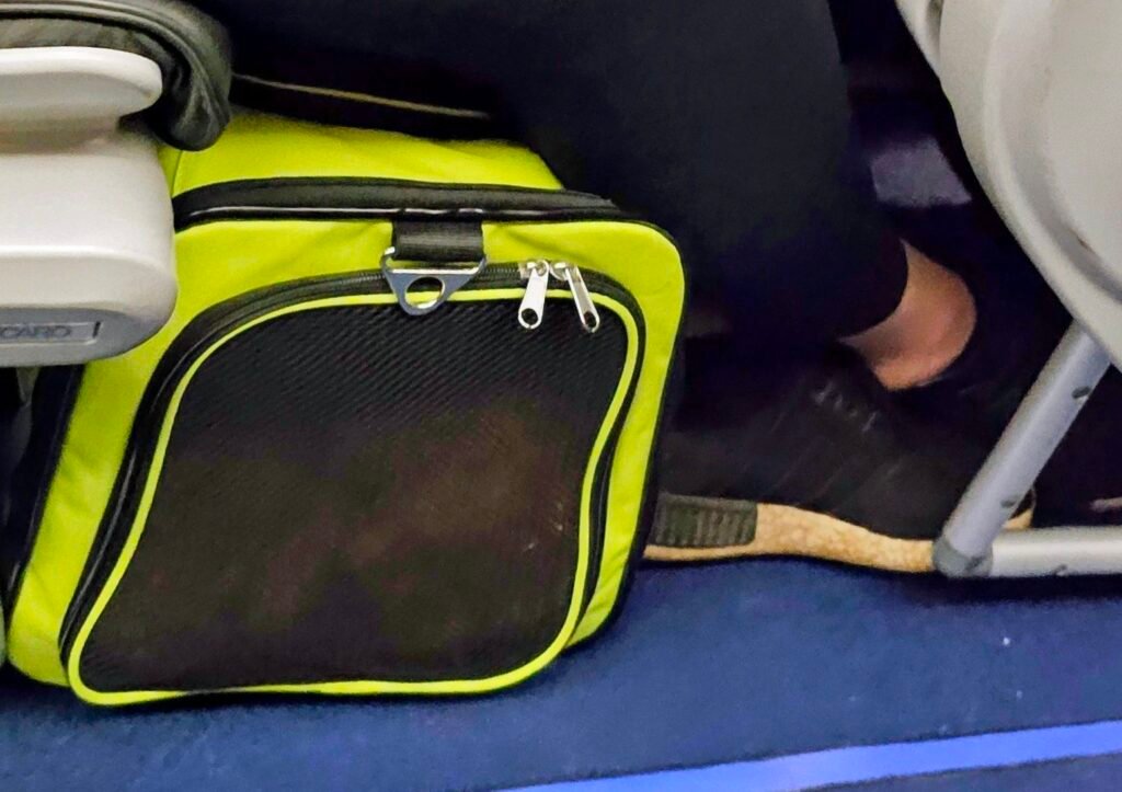 Yumi in ihrer Flugtasche auf dem Weg nach Wien