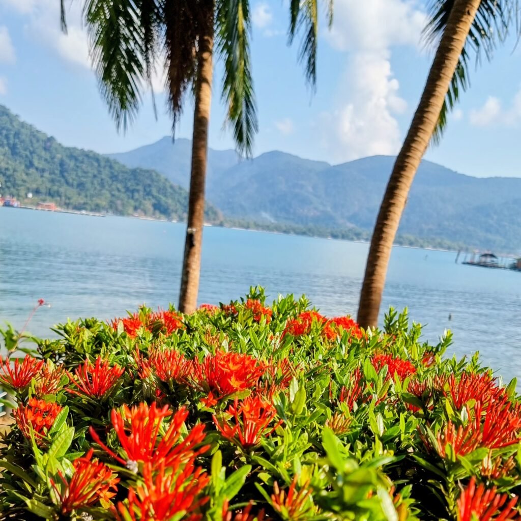 Koh Chang: Urwald, Blumen, Palmen und das Meer