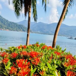 Koh Chang: Urwald, Blumen, Palmen und das Meer