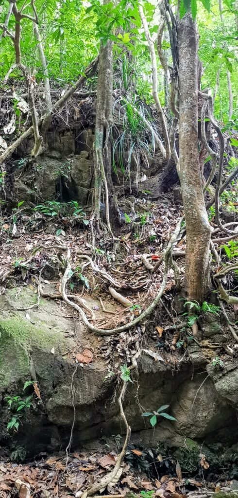Zum Khao Salak Phet immer den Berg hinauf