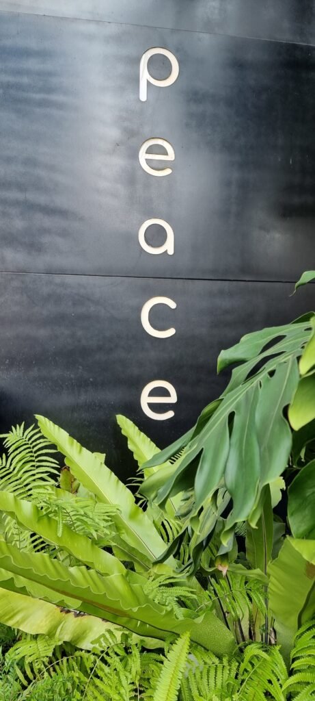 Peace Schriftzug