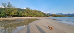 Yumi am Strand bei Ebbe