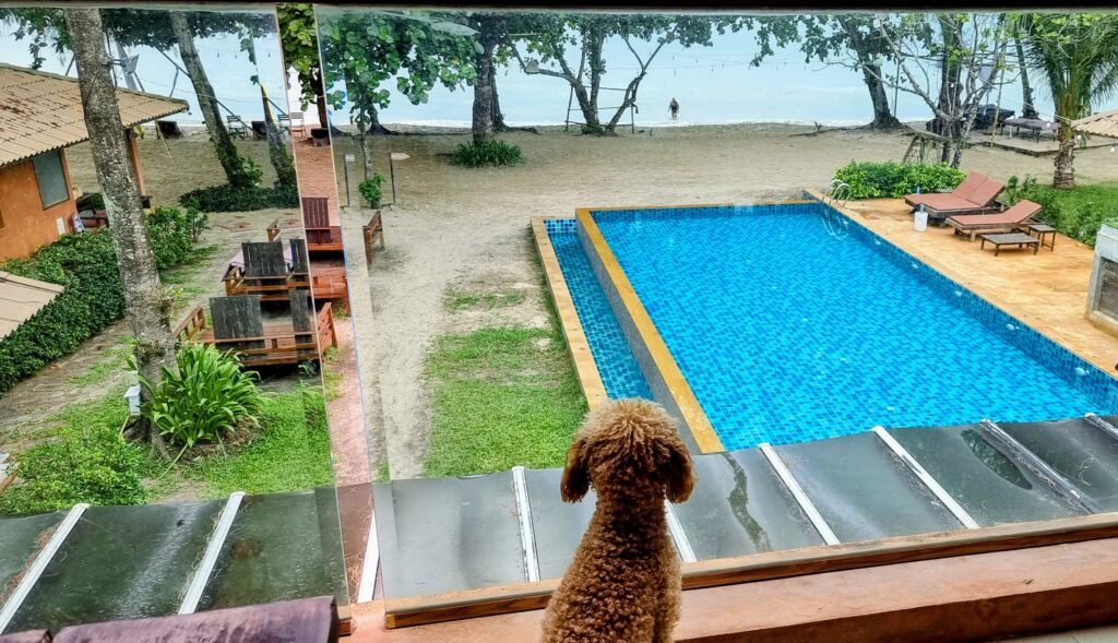 Yumi schaut vom Balkon auf den Pool und das Meer