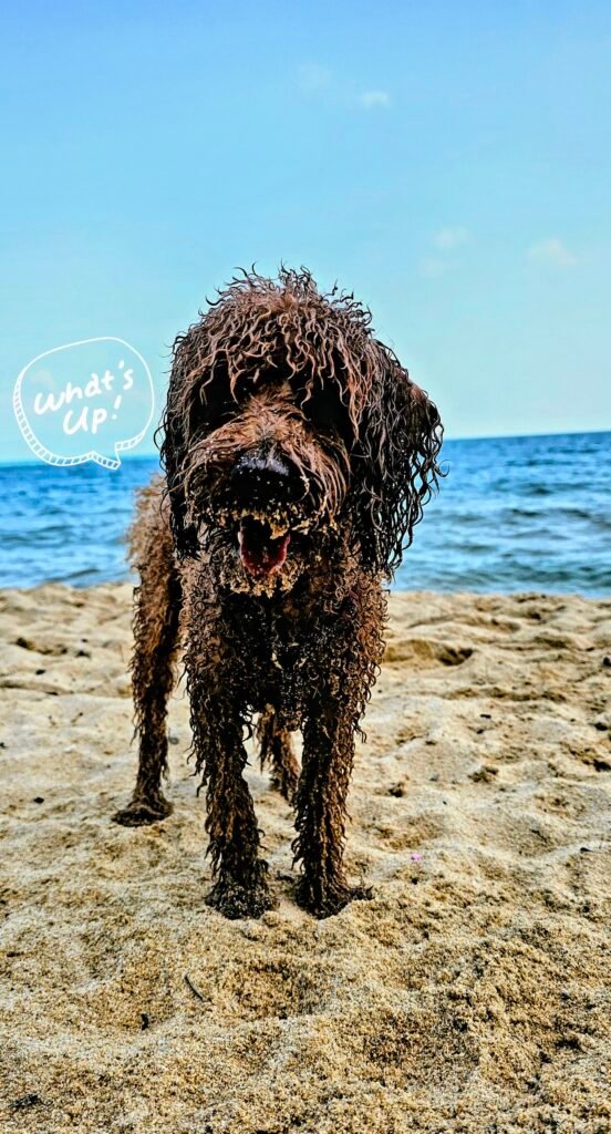 Yumi hat am Strand gespielt