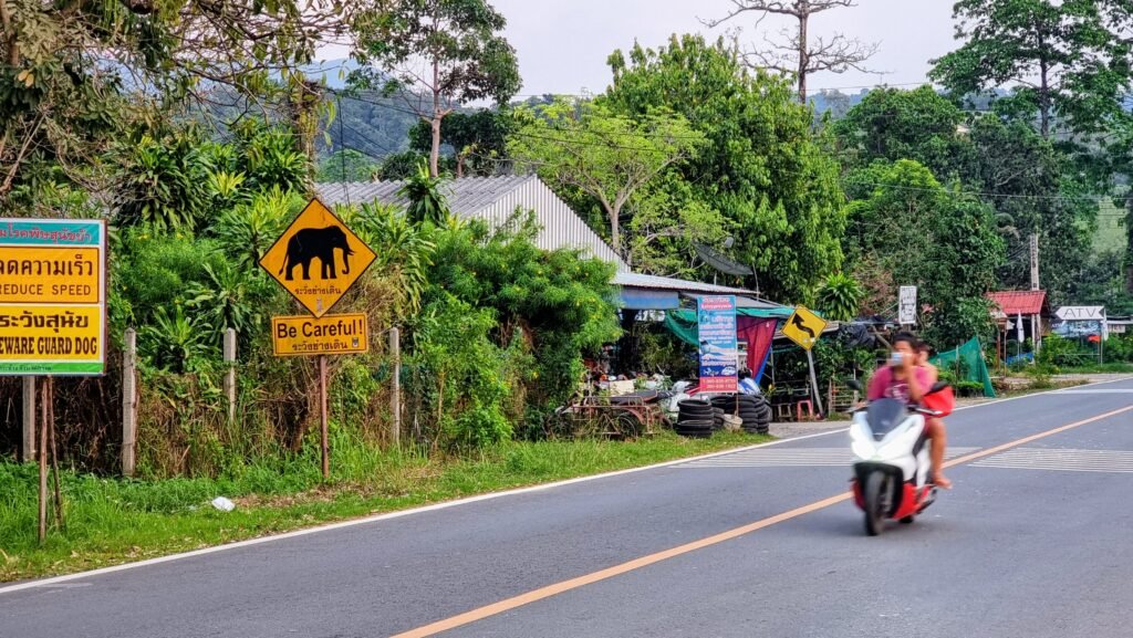 Warnschild vor Elefanten an der Straße