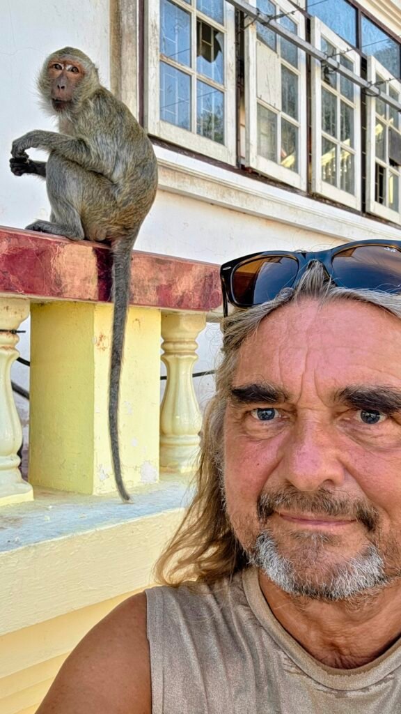 Affe und Reisedesigner