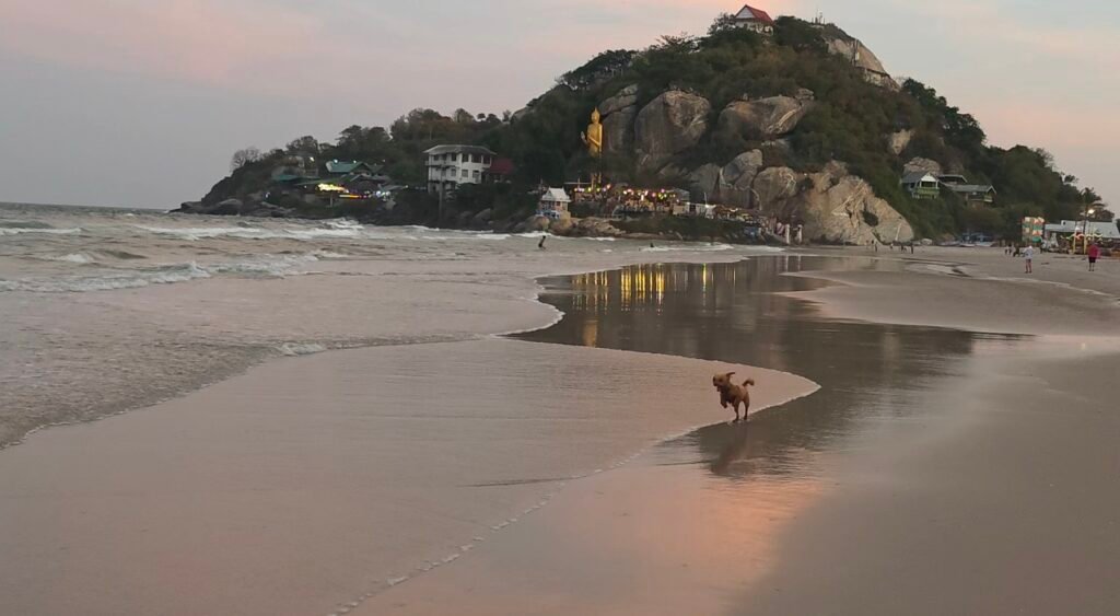 Yumi am Strand mit Affenfelsen