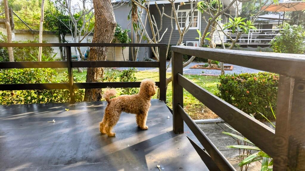 Luna Hut Bungalow mit Yumi