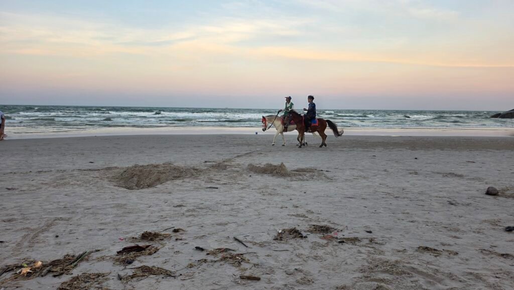 Pferde am Strand von Hua Hin
