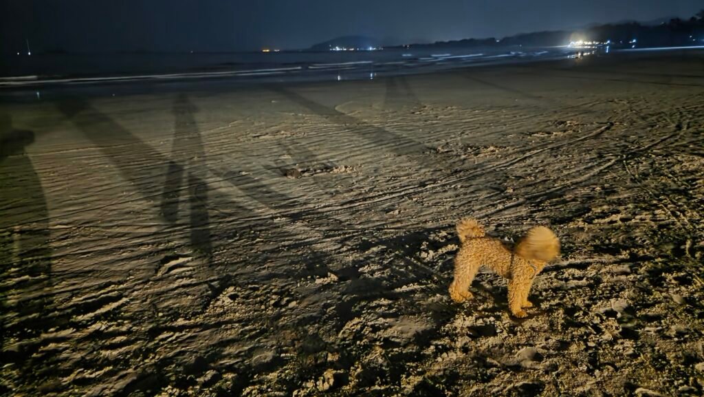 Yumi am Strand am Abend