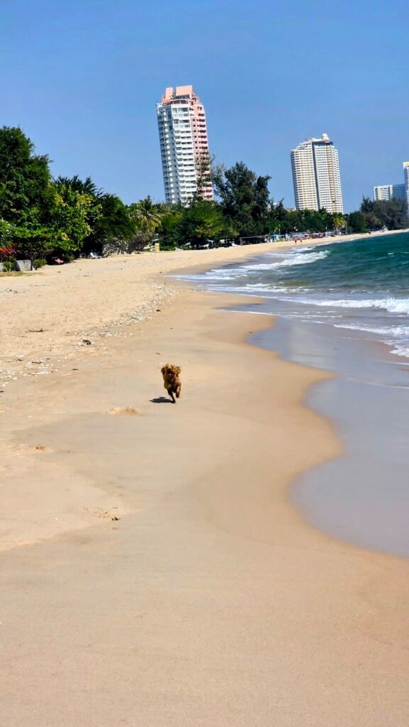 Thailand Reisebericht: Strand in Cha-am mit Yumi