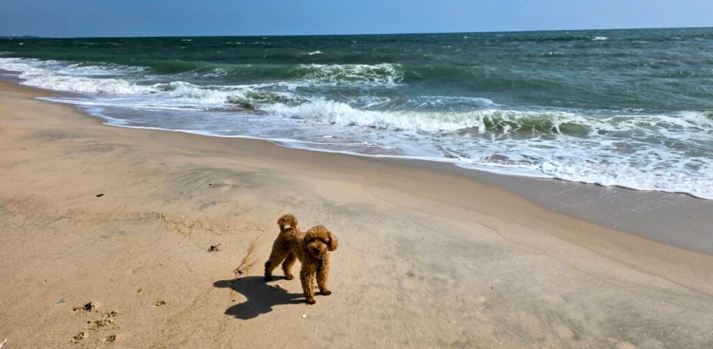 Yumi am Strand von Cha-am